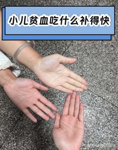 照片恢复能手袖珍版