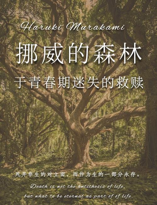 森林的另一边