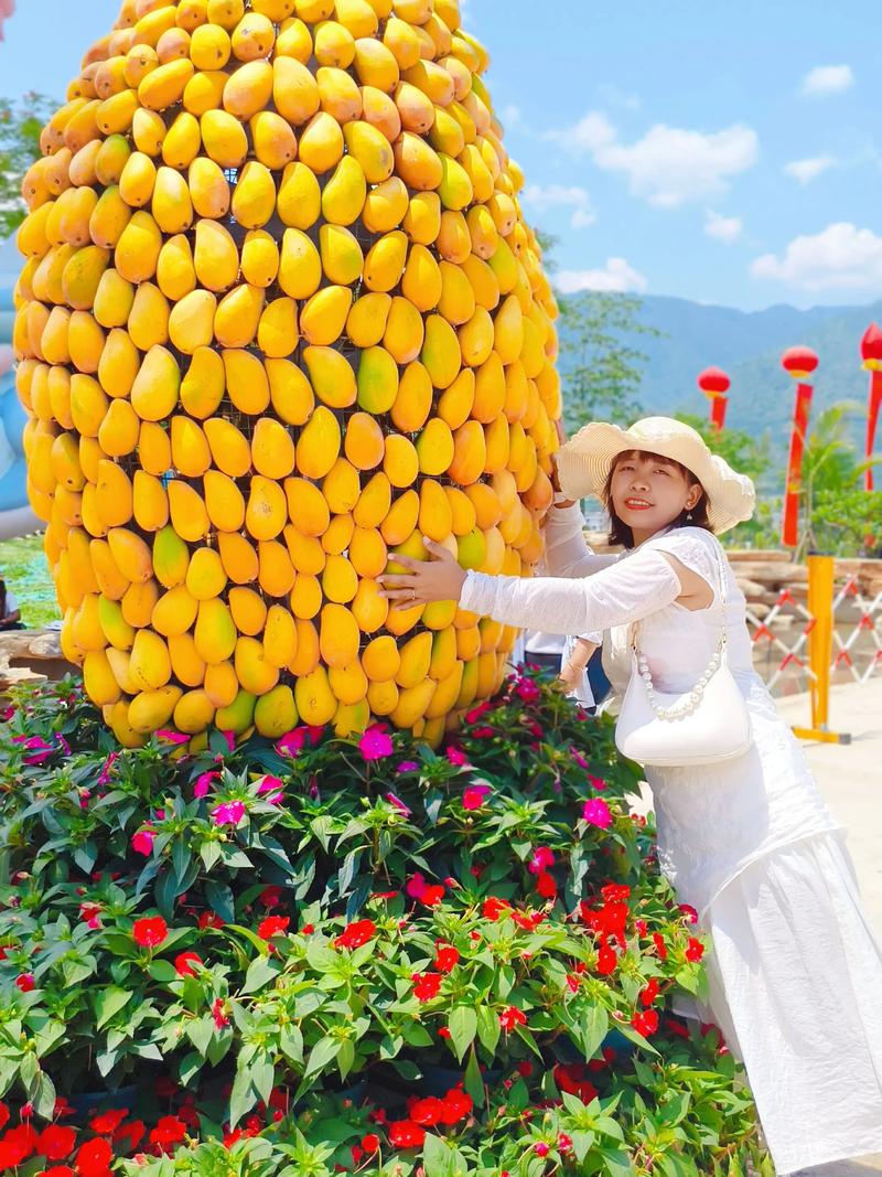 芒果旅游手机版