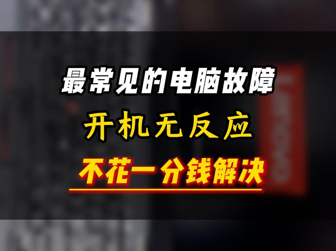 电脑程序打不开没反应黄化版