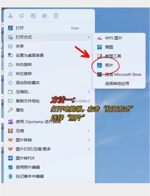 clip文件怎么打开