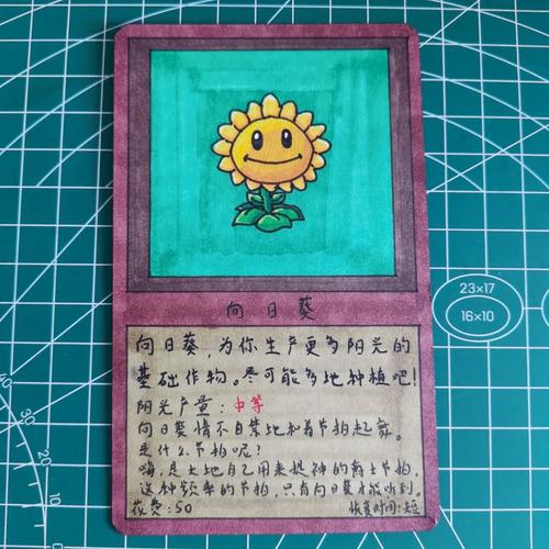 向日葵游戏版卡不卡免广大量金币