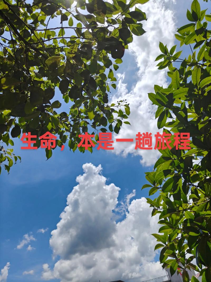 随意前行