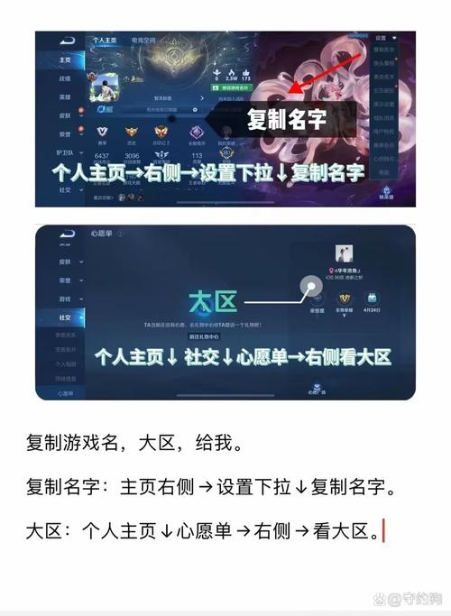 查王者隐藏战绩的第三方软件提米版