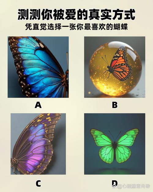 蝴蝶视频免费版手机正版