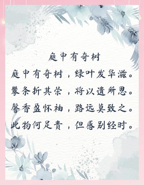 红树参差映日高打一生肖