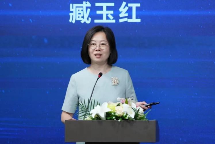 三板公司董事长