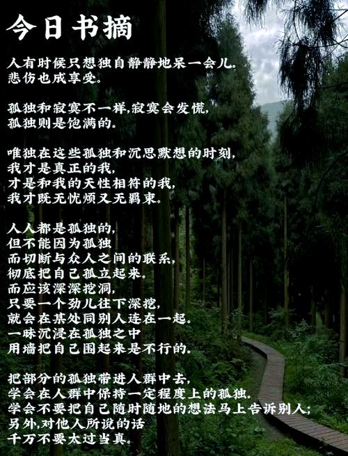 希望孤独者的故事安装免广告