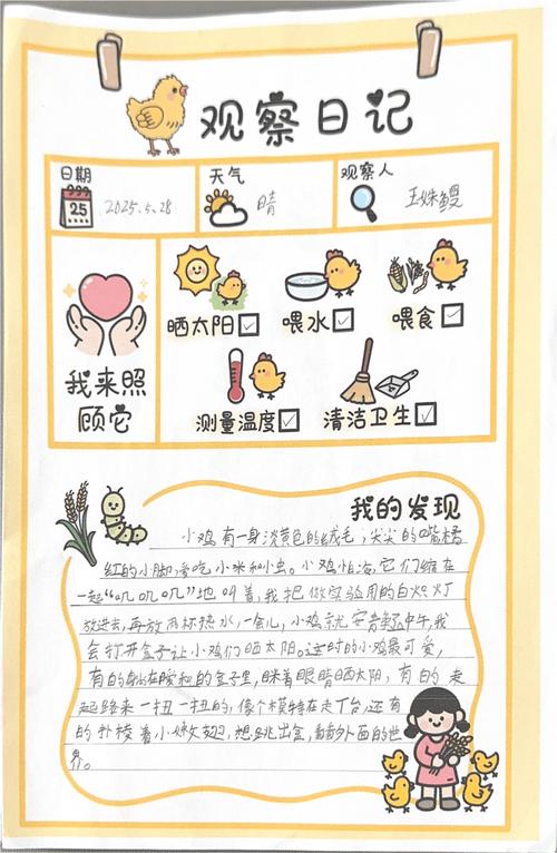 蛋蛋日记通用版