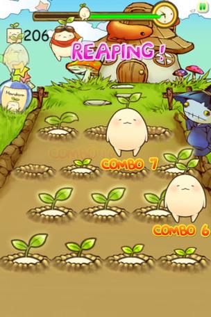 mandora