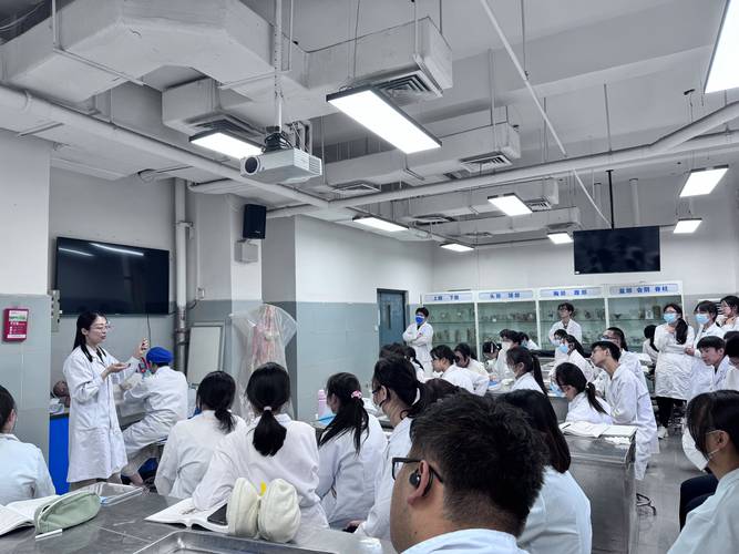 临床实践教学