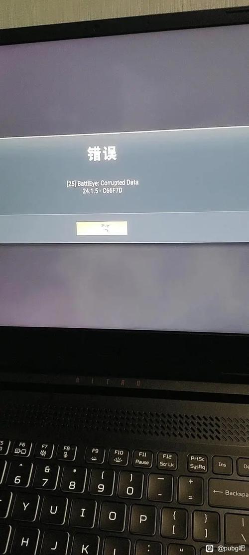 绝地求生闪退报错