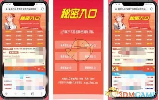 秘密入口导航在线