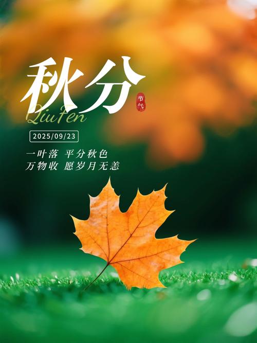 秋分TV
