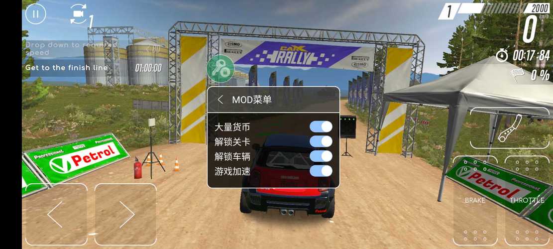 carx拉力赛中文安卓破解应用版