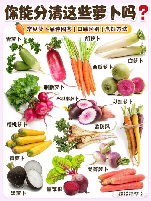 大萝卜搜索10本免费