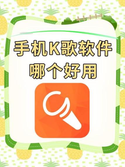 全民K歌安装20安卓12版