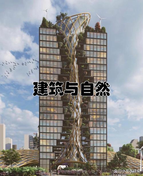 塔楼建筑师最无条件试用