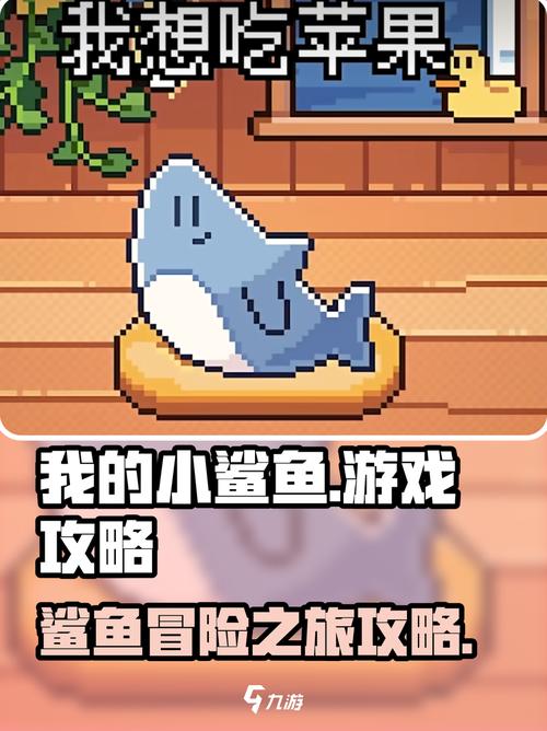 我的可爱小鲨鱼游戏