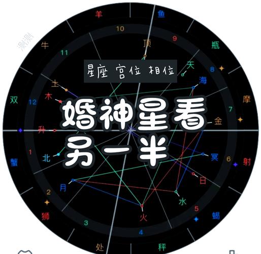 爱神星运势无广告