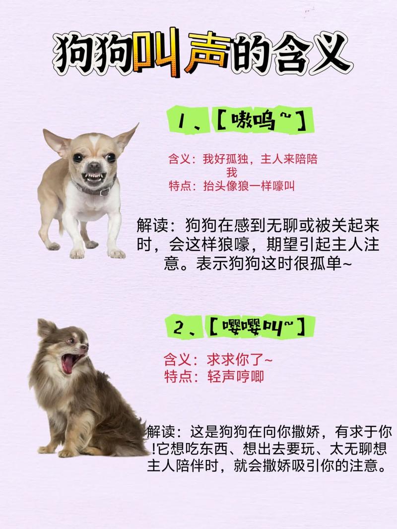 狗叫翻译器1.1