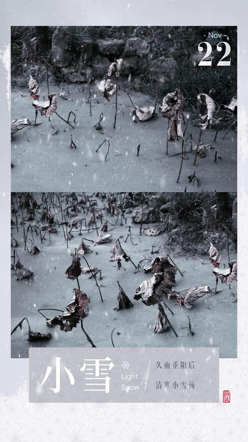 简拼摄影