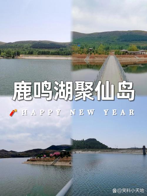 聚仙好玩吗2026最新免费vip版