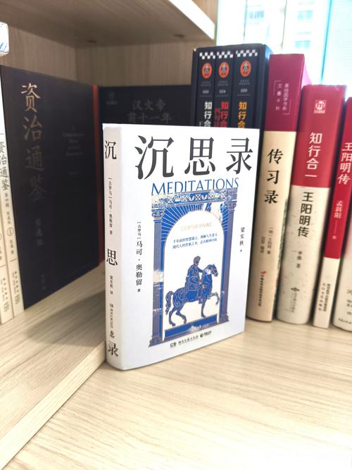 沉思录txt下载