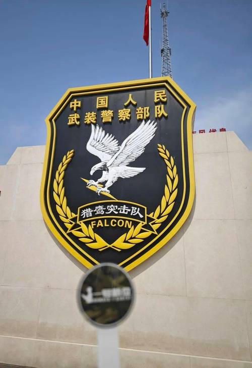 猎鹰突击队