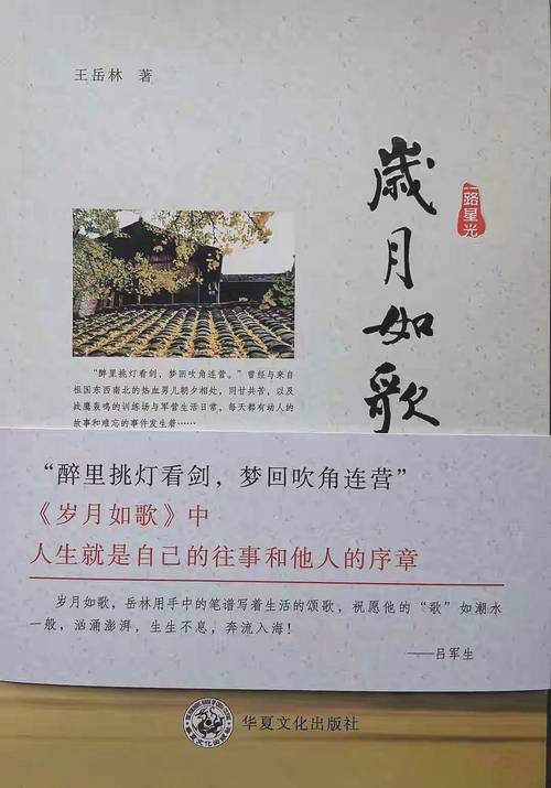 岁月如歌小说