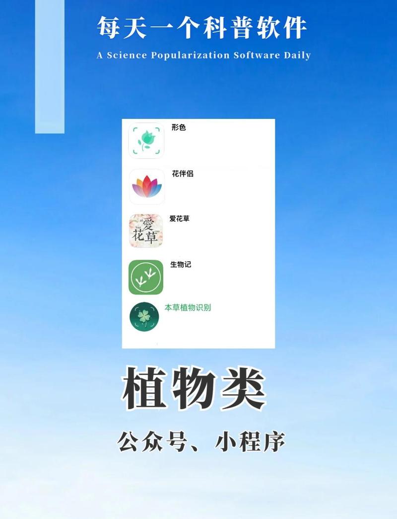 灵通植物识别