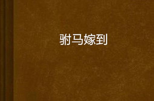 驸马嫁到
