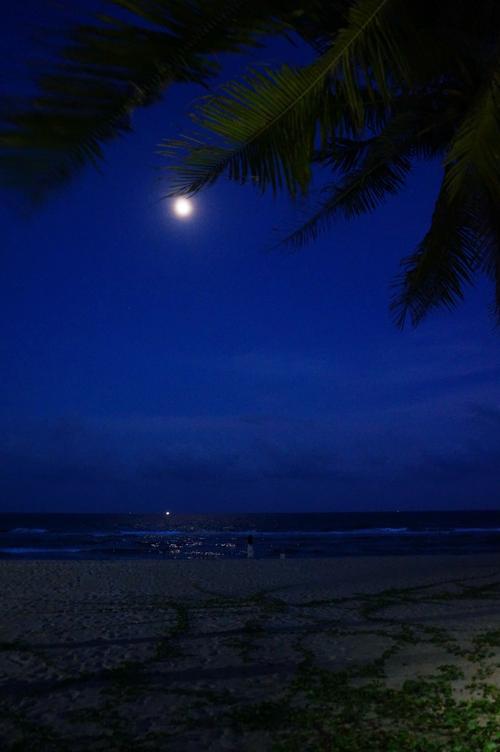 海边之夜中文版