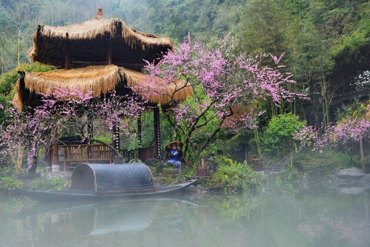 欣赏母亲的桃花源