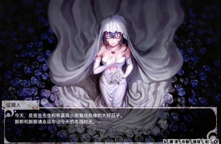 teachfeeling（奴隶少女希尔薇无限铜钱