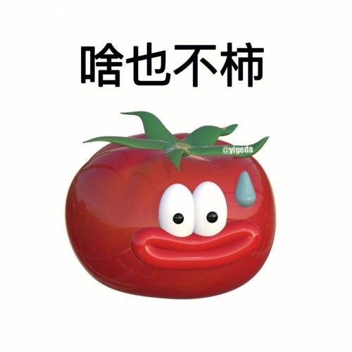 番茄斗图表情包下载最新版