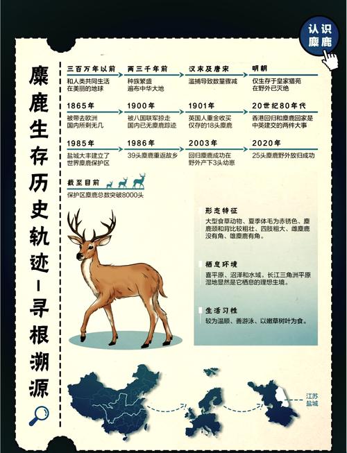 鹿待办事项重制版