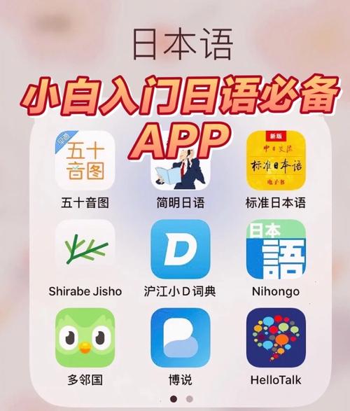 高中日语app最新版