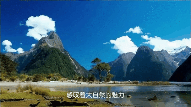 naturelivewallpaper(自然动态壁纸