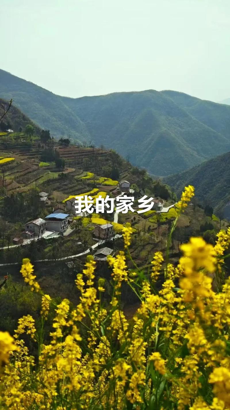 我的家乡下载2026最新版