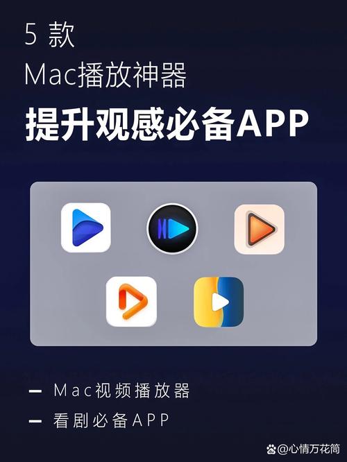 哪个视频播放器最好用