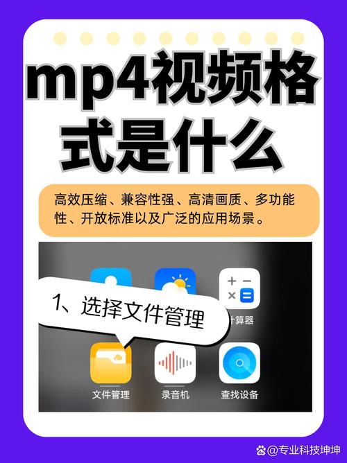 哪里可以下载mp4格式的视频