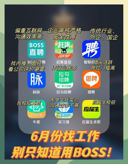 找项目的平台内购最新版