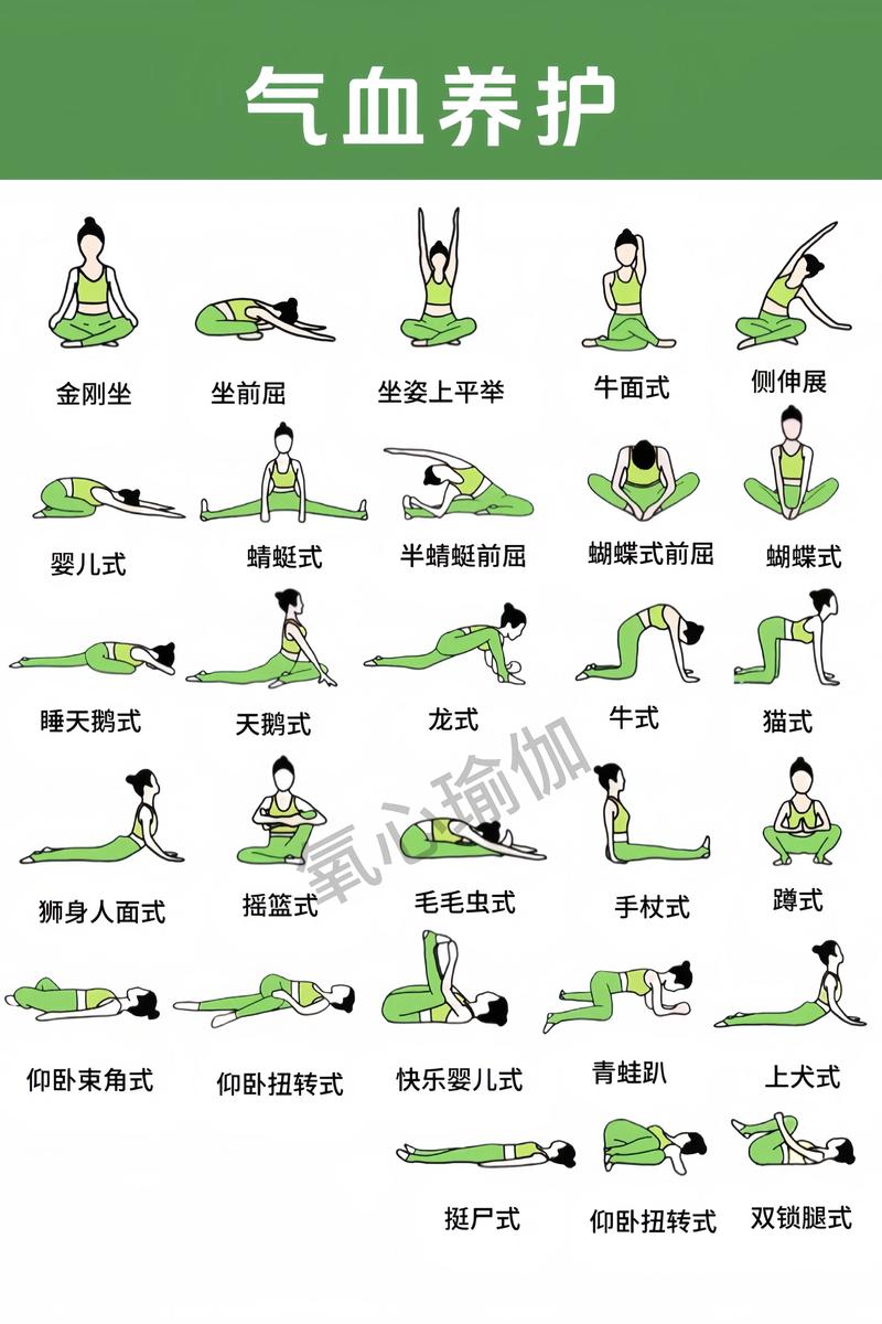 瑜伽教程视频下载