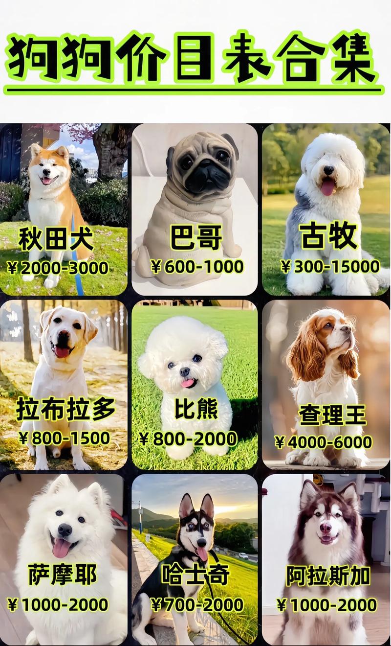 2026DOGS价格